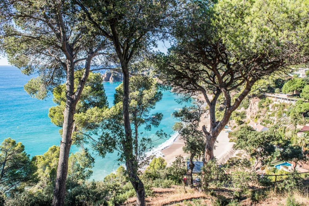 Camping Sunissim Cala Llevado 4* by Locatour Tossa de Mar Exterior foto